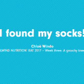 I found my socks!