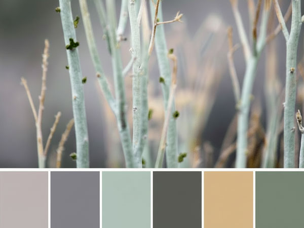 Nature Colour Palette 600 X 449px Wellness design trends 2026 — minimalist typography, nature palettes, digital fitness experiences
