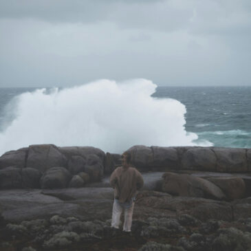 Designing Wellness, Inspiring Change