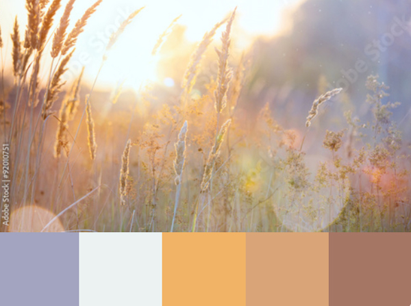 Colours 1 600 Px Wide